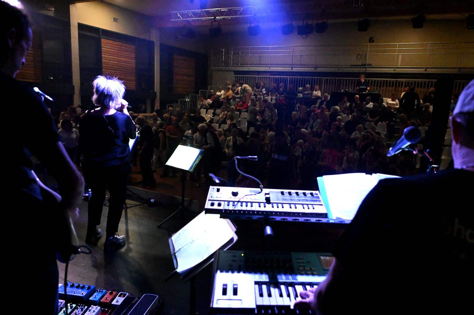 Vue public-concert-La Capitelle-2024